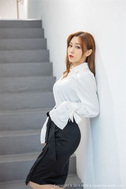 上门女婿电视剧