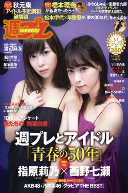 2024最新电视剧免费观看
