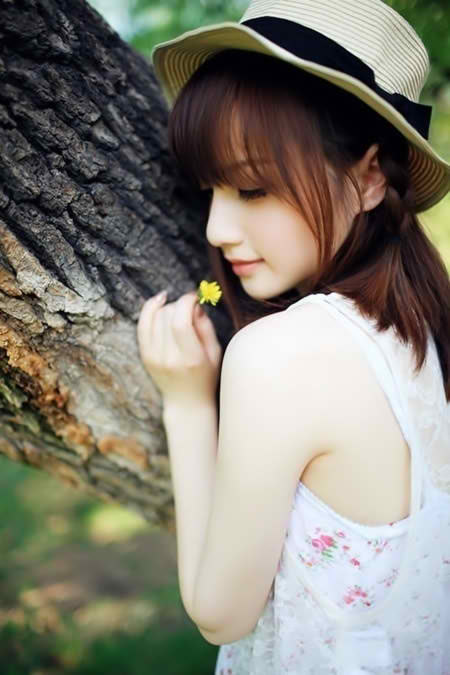 女士的品格 电视剧