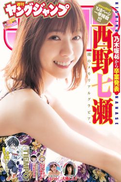 冠豪高新